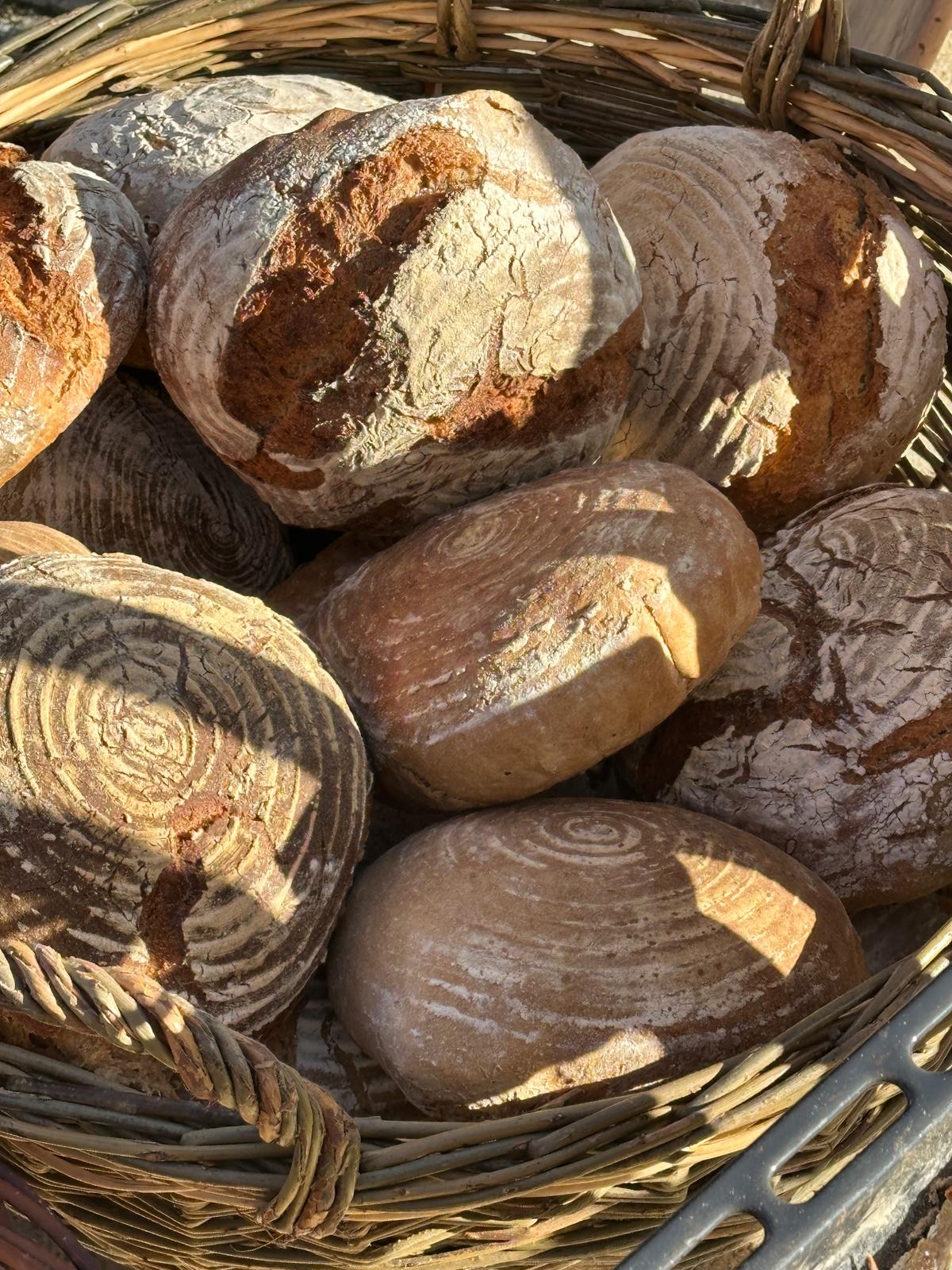 Frisch gebackeneBrote